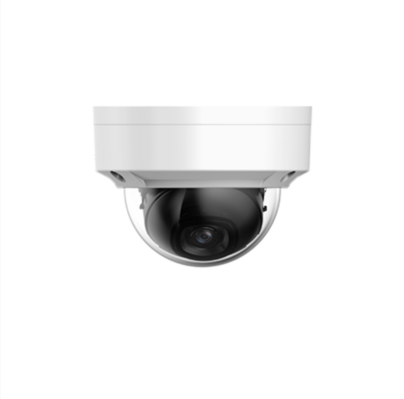 4MP IP Starlight Dome 1/3'' 3.6mm Fixed Lens WDR H.265+